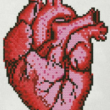 Схема вышивки «Сердце анатомия»