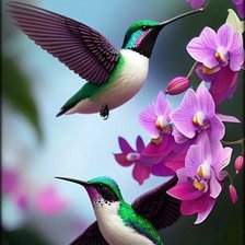 Схема вышивки «№2691923»