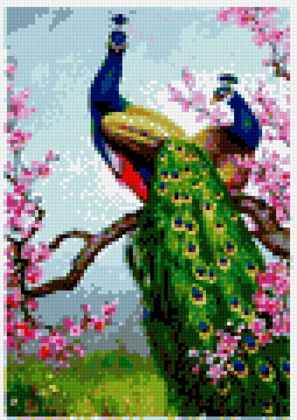 павлины - павлины - предпросмотр