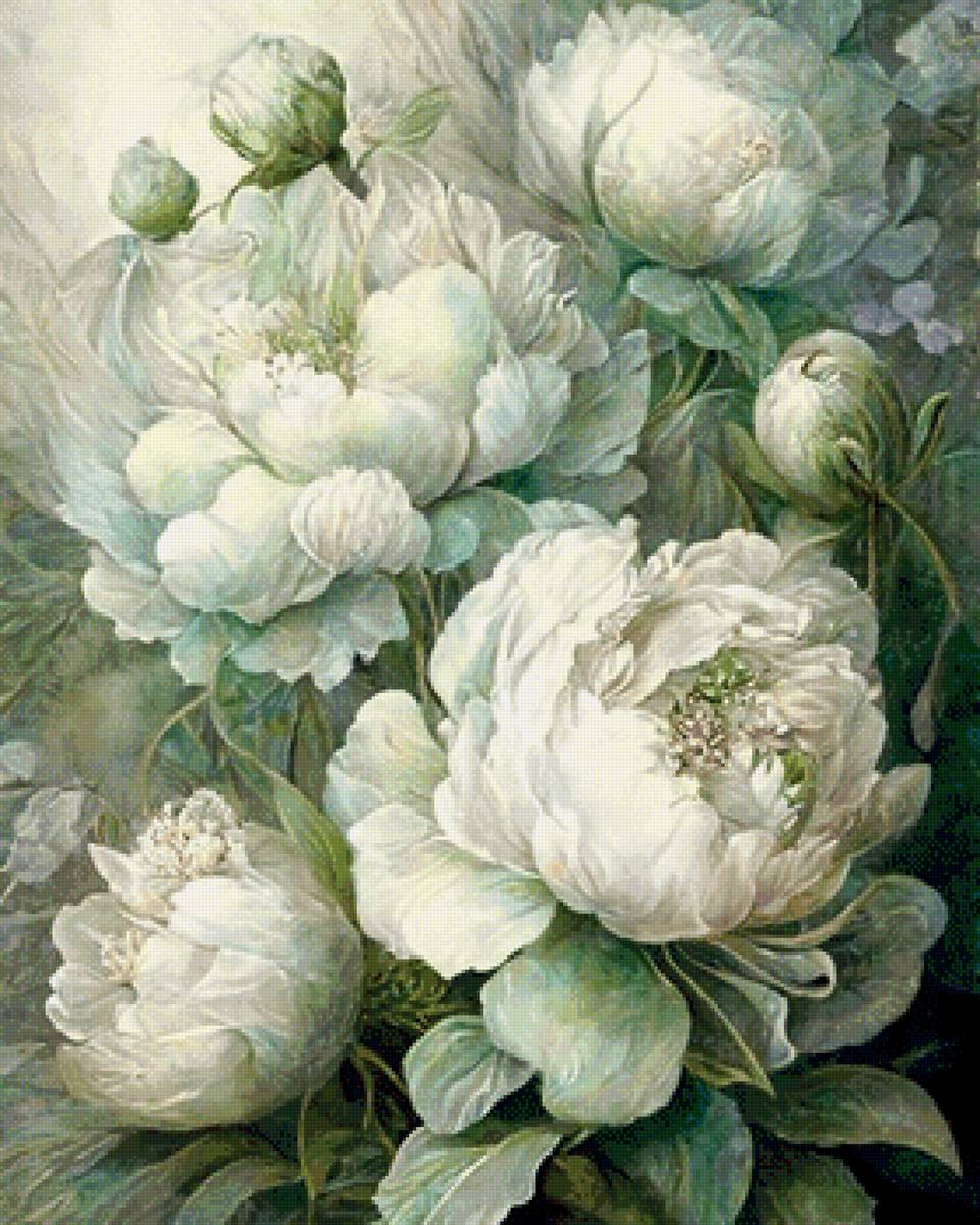 Белые пионы - цветы, пионы, живопись - предпросмотр