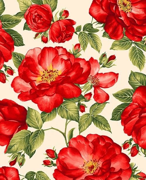 Красный шиповник - шиповник, цветы - оригинал