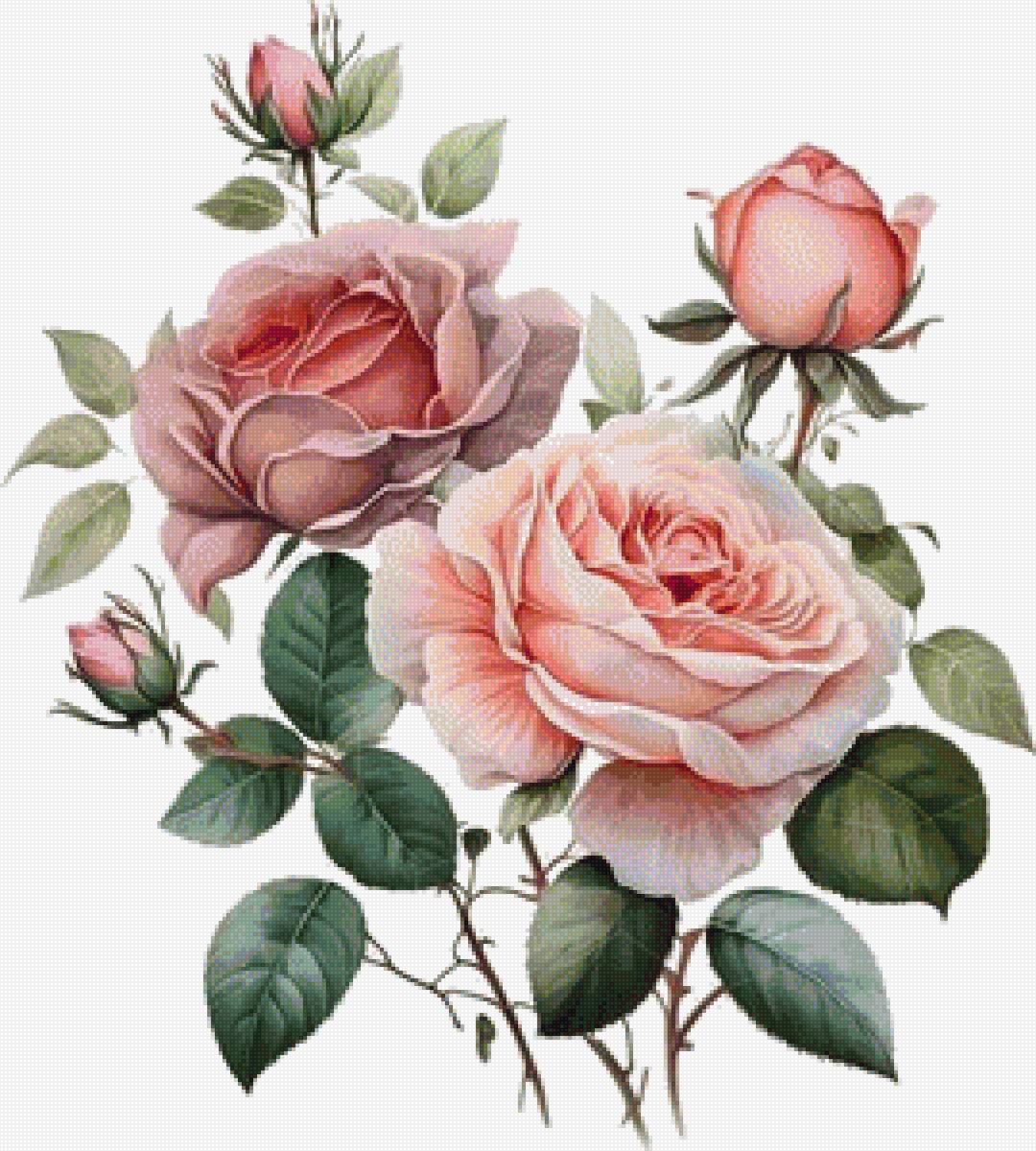 Розы - розы, цветы - предпросмотр