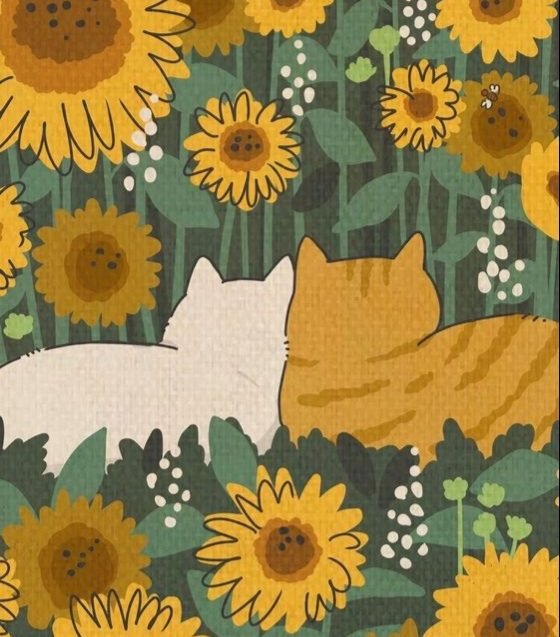 Котики - котики - оригинал