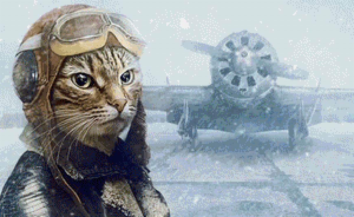 кот пило - кот, пилот - предпросмотр