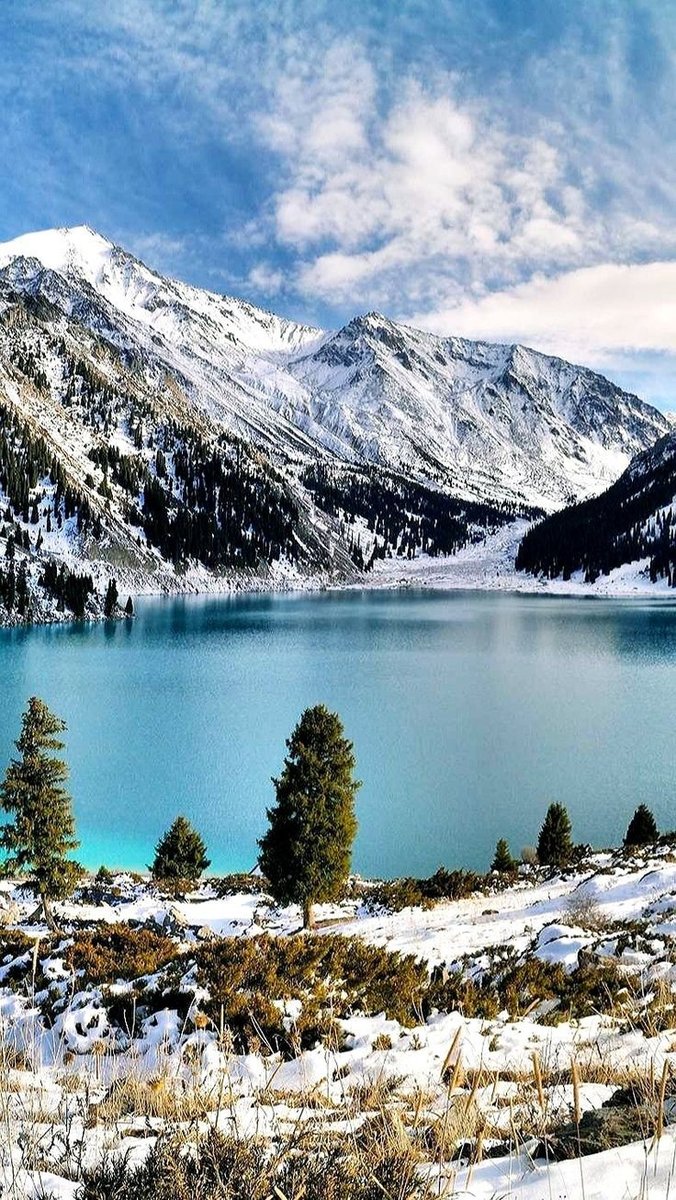 №2693585 - оригинал