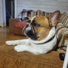 Схема вышивки «№2693767»