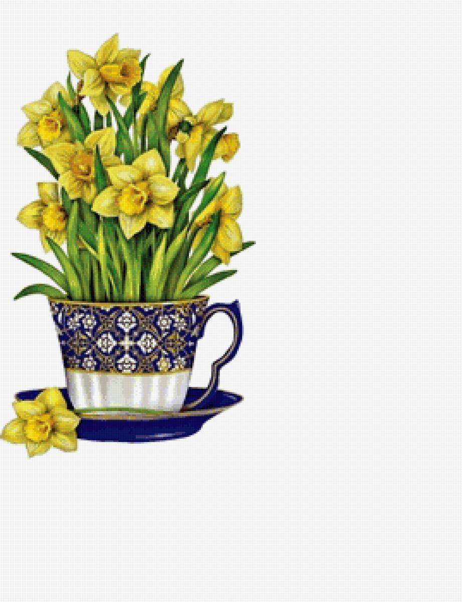 Нарциссы - натюрморт, нарциссы, цветы - предпросмотр