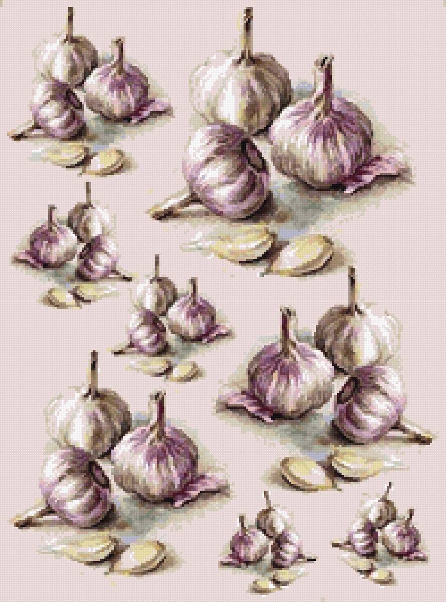 чеснок - предпросмотр