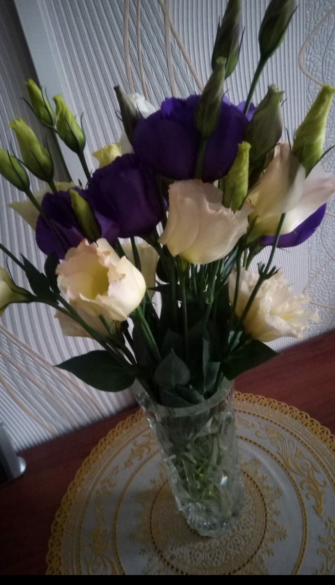 Ирландская роза - оригинал