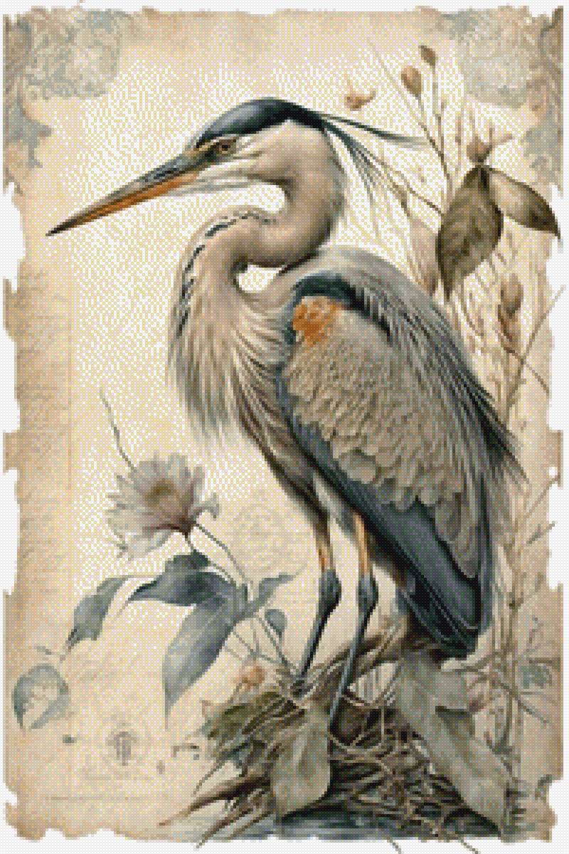 Цапля 2 - птица, природа, цапля - предпросмотр