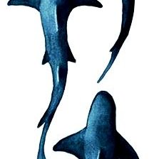 Схема вышивки «акулы»