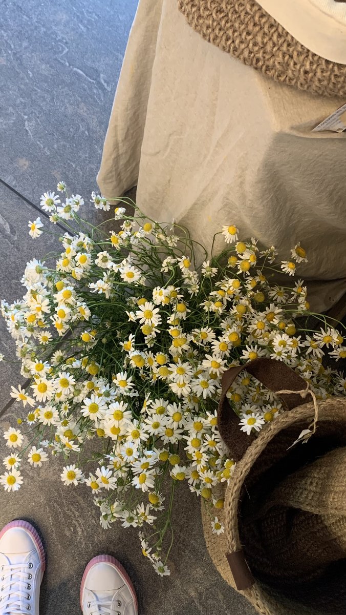 Ромашки - оригинал