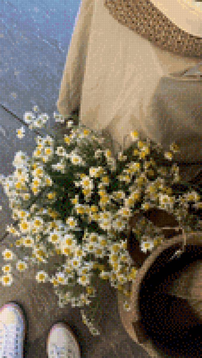 Ромашки - предпросмотр