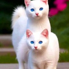 Схема вышивки «№2695463»