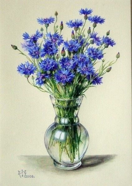 Васильки - васильки - оригинал