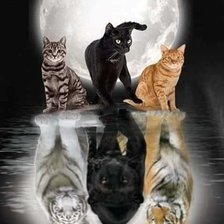 Схема вышивки «№2696142»