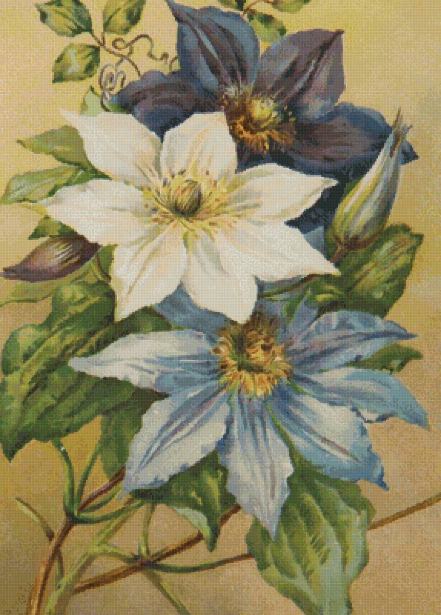 №2696839 - флора, природа, цветы - предпросмотр