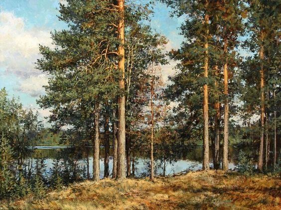 Вековые сосны - пейзаж, сосна, река, дерево - оригинал