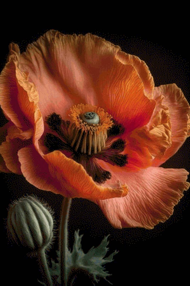 №2697877 - предпросмотр