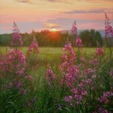 Схема вышивки «ПЕЙЗАЖ С ЦВЕТАМИ»