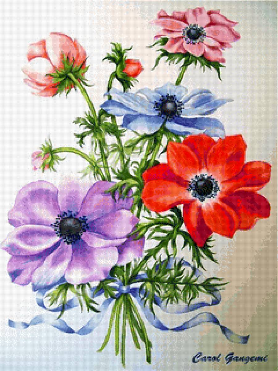 Букет анемонов - анемоны, букет, цветы - предпросмотр