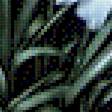 Предпросмотр схемы вышивки «Ромашки» (№2699494)