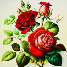 rosas