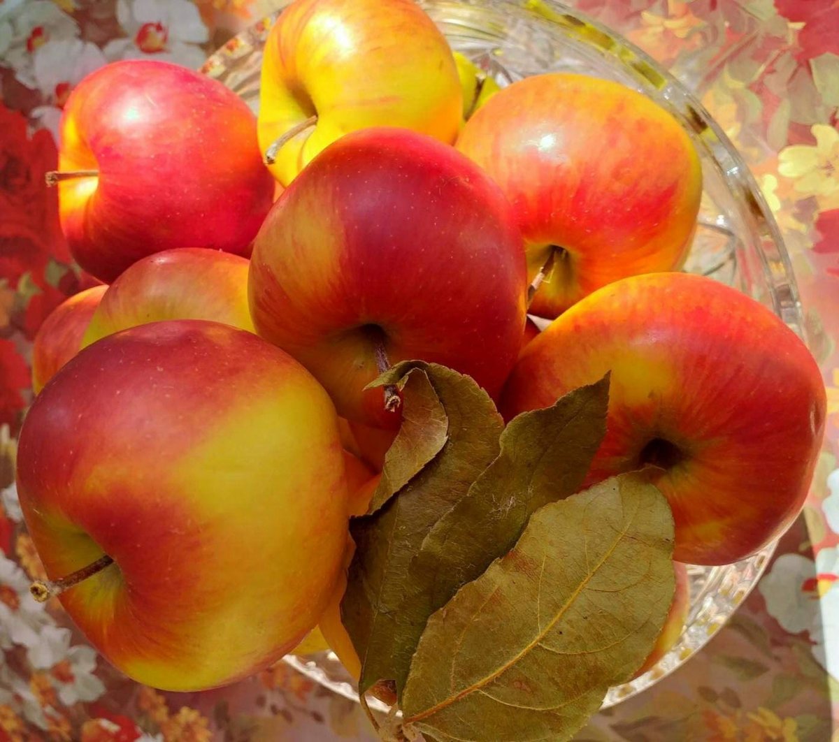 яблоки - лето, урожай, фрукты, яблоки, пнк - оригинал