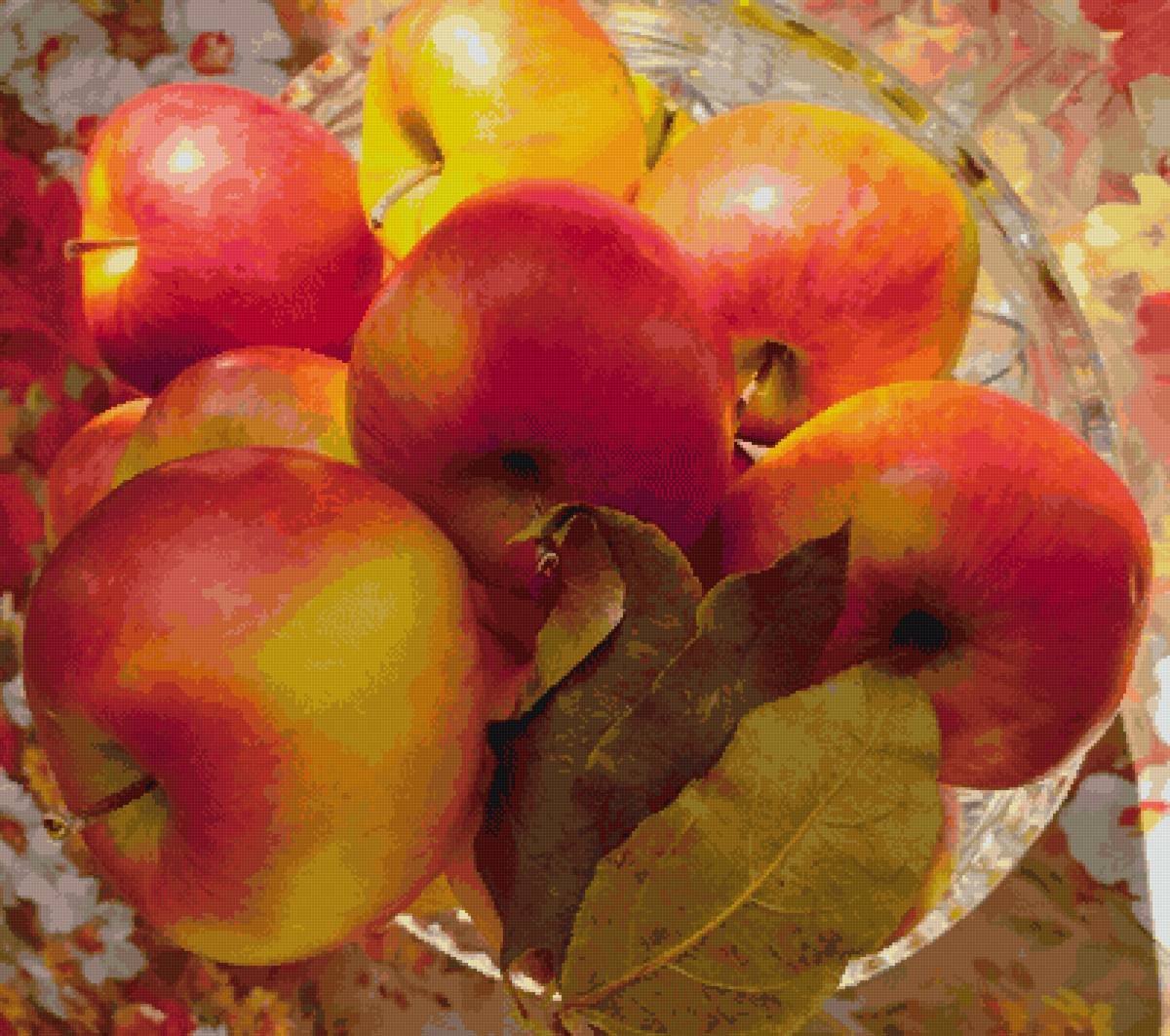 яблоки - фрукты, пнк, лето, яблоки, урожай - предпросмотр