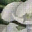 Предпросмотр схемы вышивки «Корзина с тюльпанами» (№2700135)
