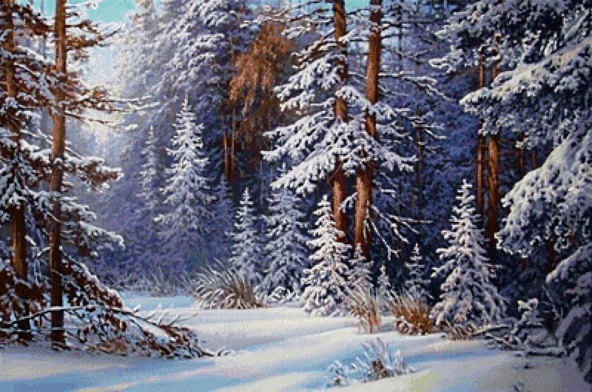 В зимнем лесу - лес, деревья, пейзаж, снег, зима - предпросмотр