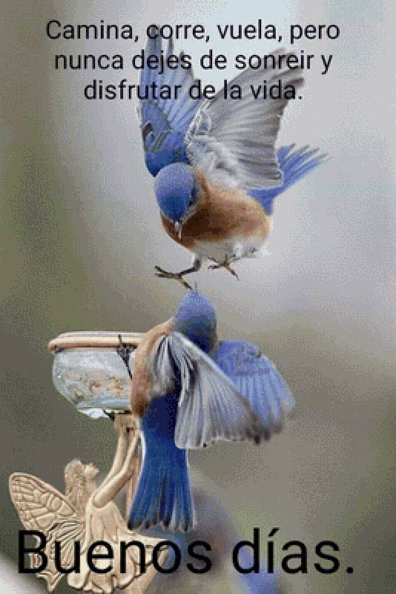 №2700926 - предпросмотр