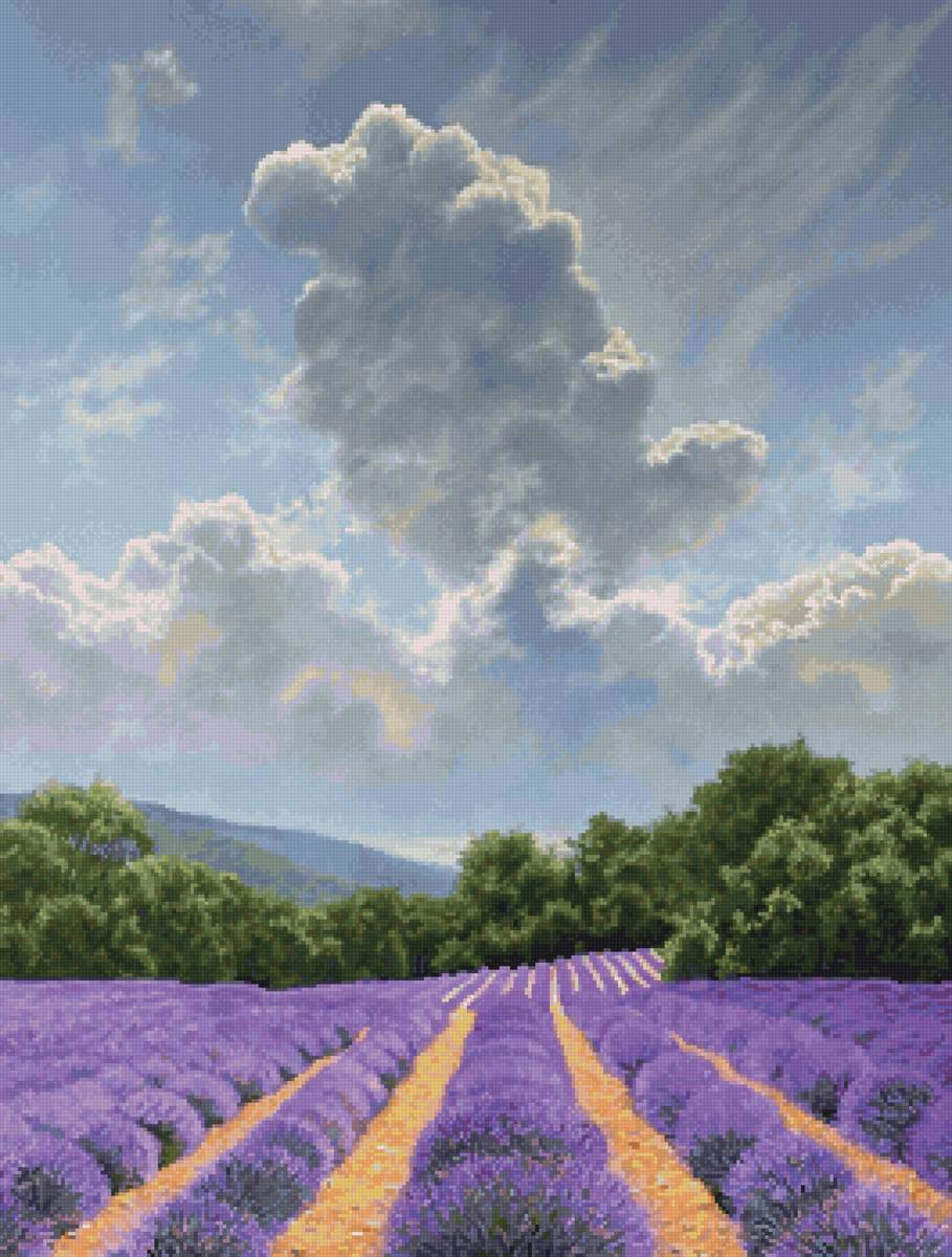 В окрестностях Валенсии - лаванда - предпросмотр