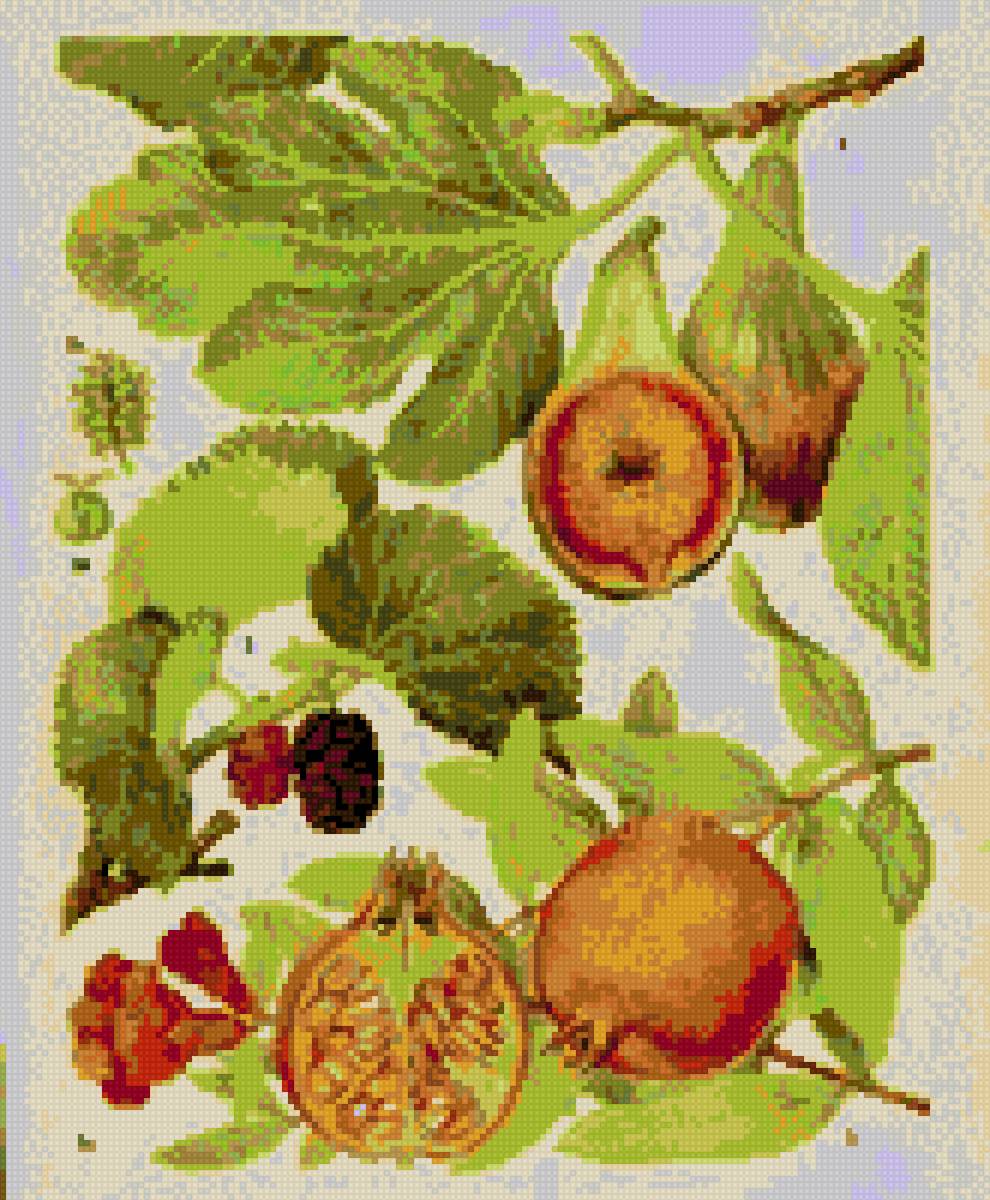 granada - предпросмотр