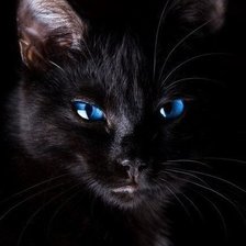 Схема вышивки «Черная кошка 35»