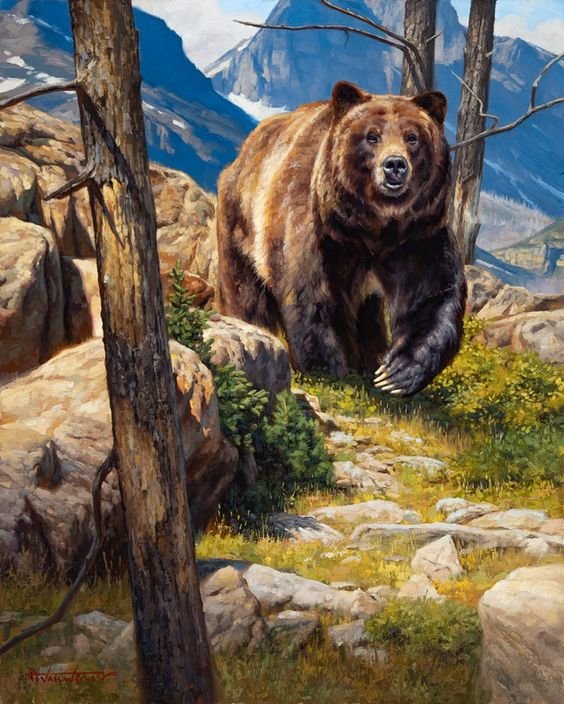 красавчик - медведь - оригинал