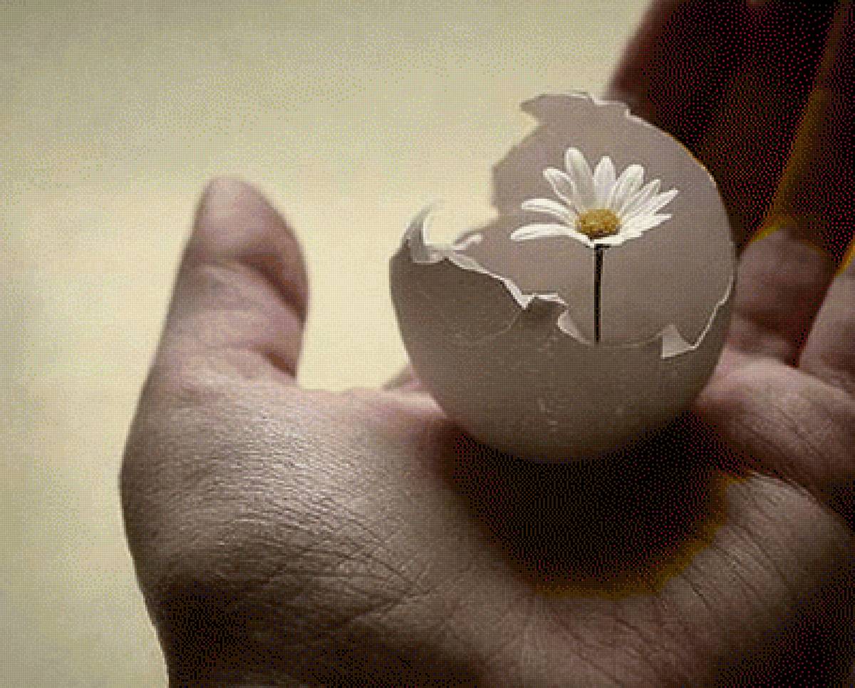 №2703219 - предпросмотр