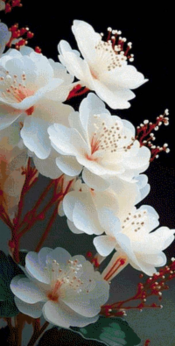 Flores - предпросмотр