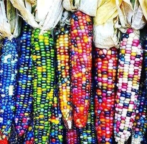 №2703266 - оригинал