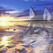 Схема вышивки «№2703296»