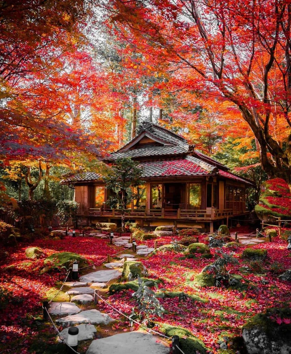 Templu japonez - natura - оригинал