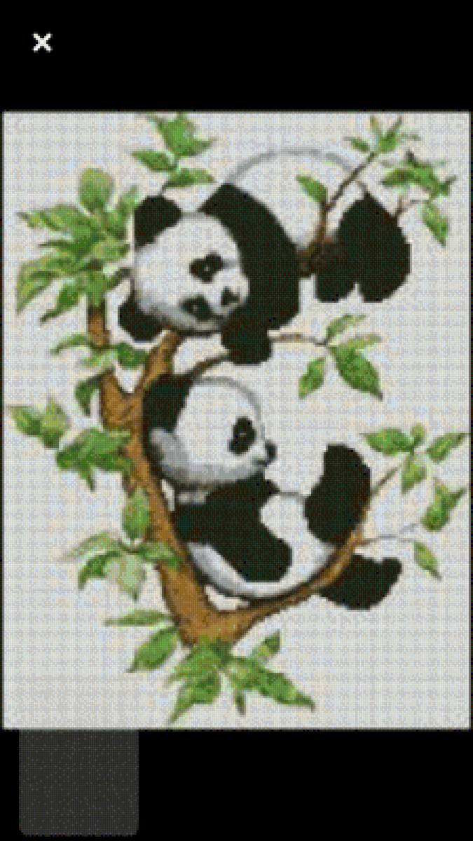 №2703617 - предпросмотр