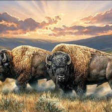 Схема вышивки «№2703813»