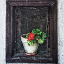 Схема вышивки «Саксийка с цвете»