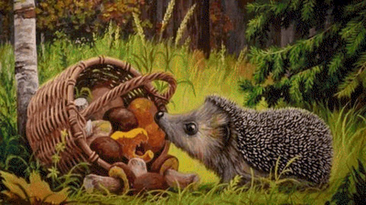 Ёжик - ежик - предпросмотр