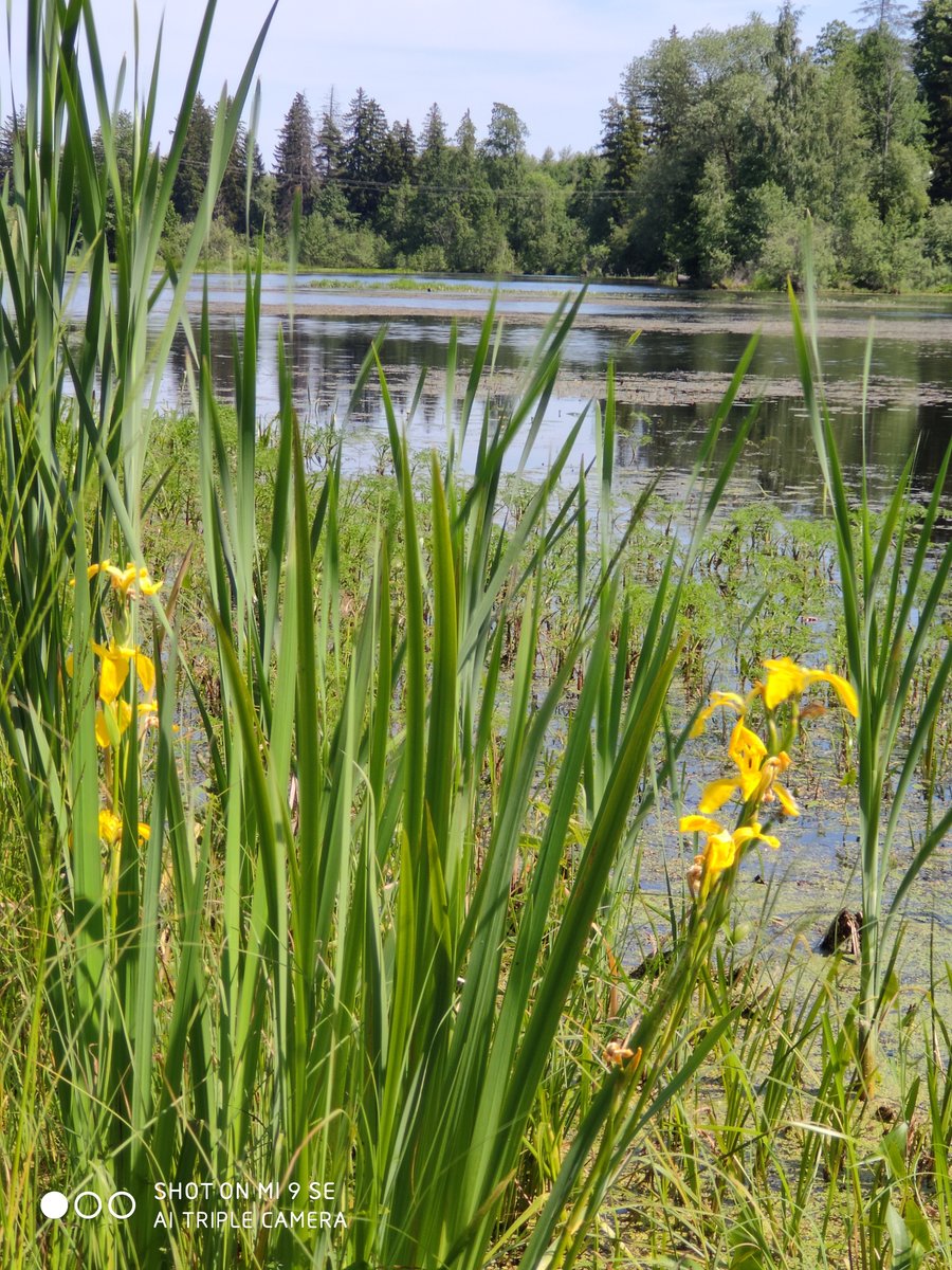 река - река - оригинал