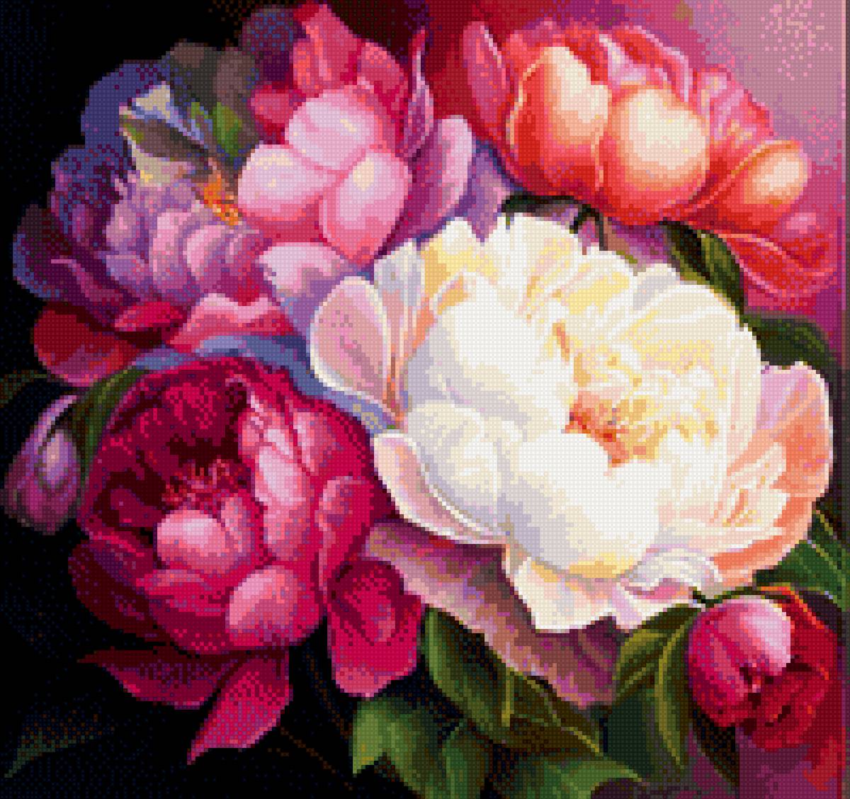 Пионы - предпросмотр