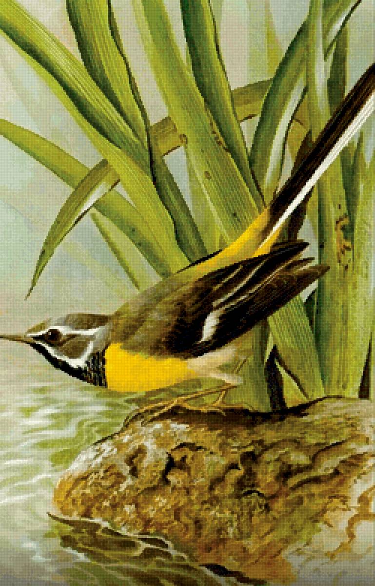 З994445 - предпросмотр