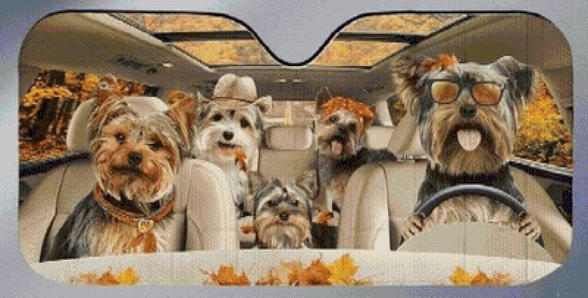 2 parasol - предпросмотр