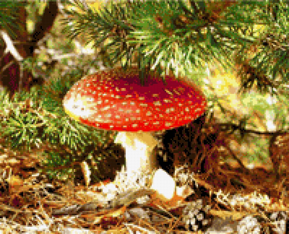 Мухомор - предпросмотр